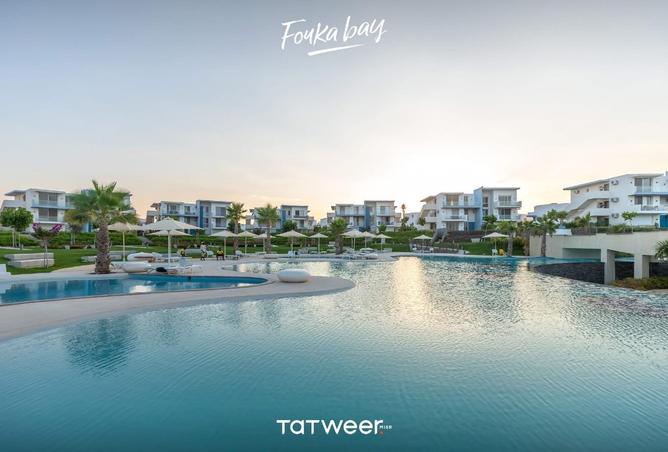 55263978 - صورة العقار 3