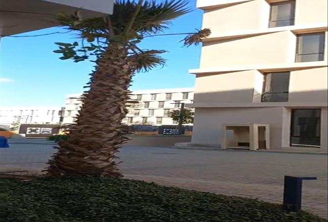 72190132 - صورة العقار 2