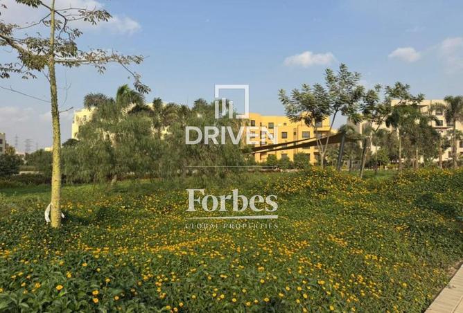 53981434 - صورة العقار 2