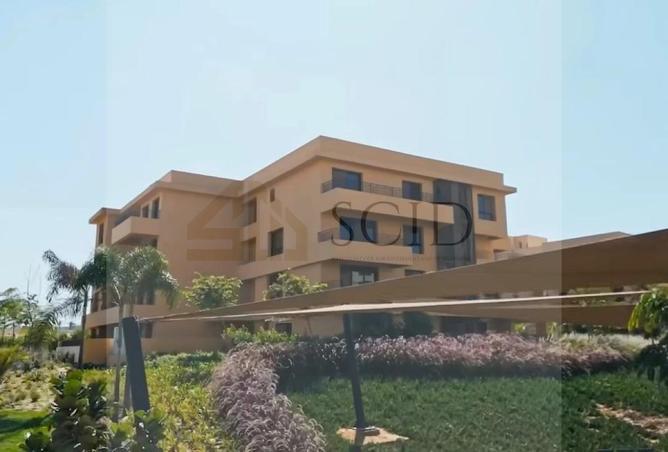 51081530 - Property Image 2