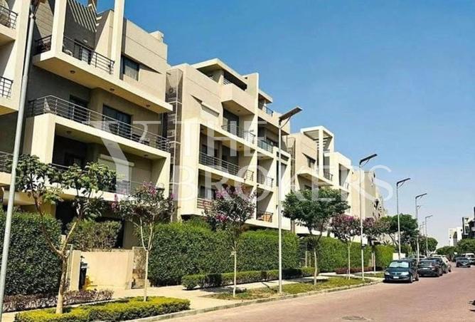 8595493 - Property Image 2