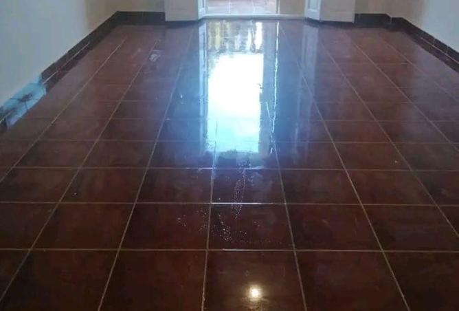 58248597 - Property Image 2