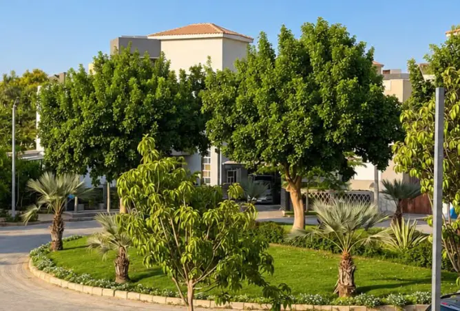 118538155 - Property Image 2