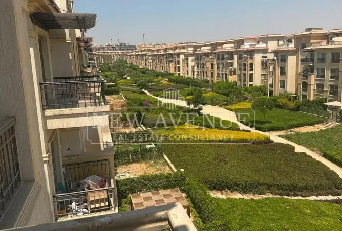 111301113 - Property Image 2