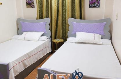 Apartment - 1 Bedroom - 1 Bathroom for rent in Syria St. - Roushdy - Hay Sharq - Alexandria