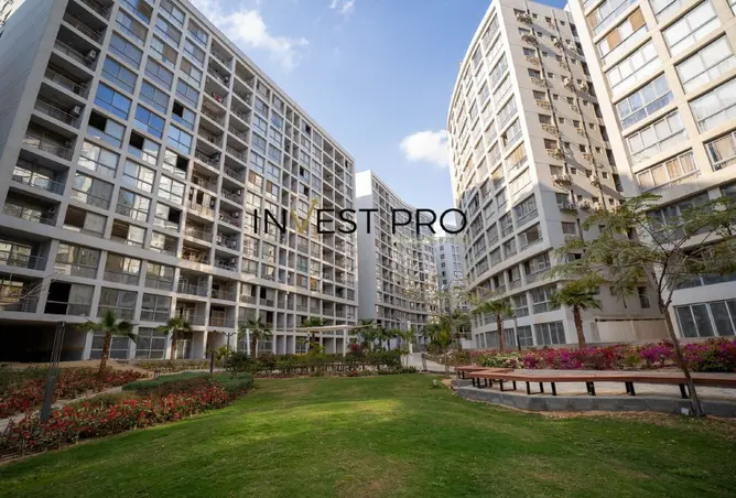 109634247 - Property Image 3
