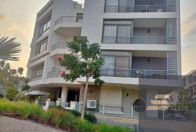 65917200 - Property Image 3