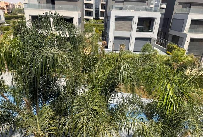 56994613 - Property Image 2