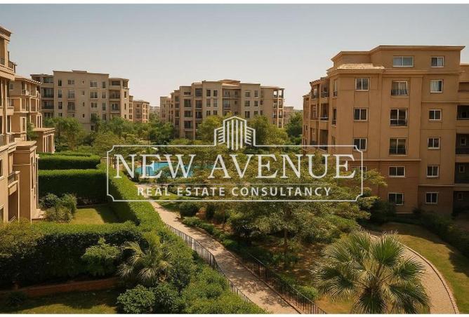 67993718 - Property Main Image