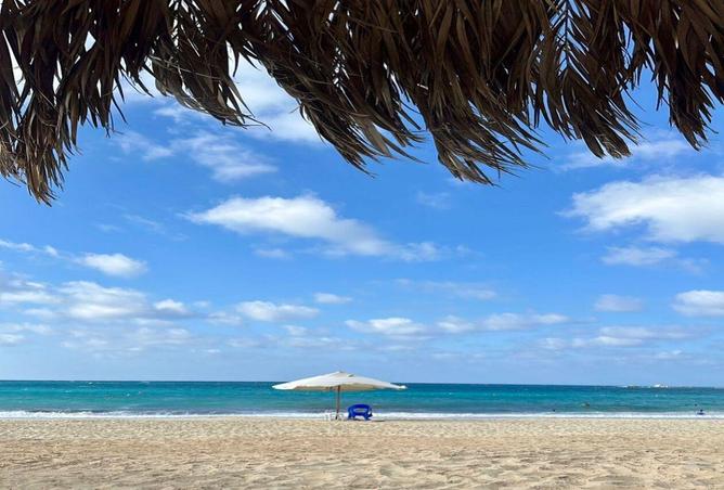 64905967 - صورة العقار 3