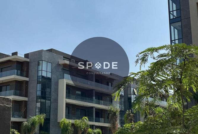 61692156 - Property Image 2