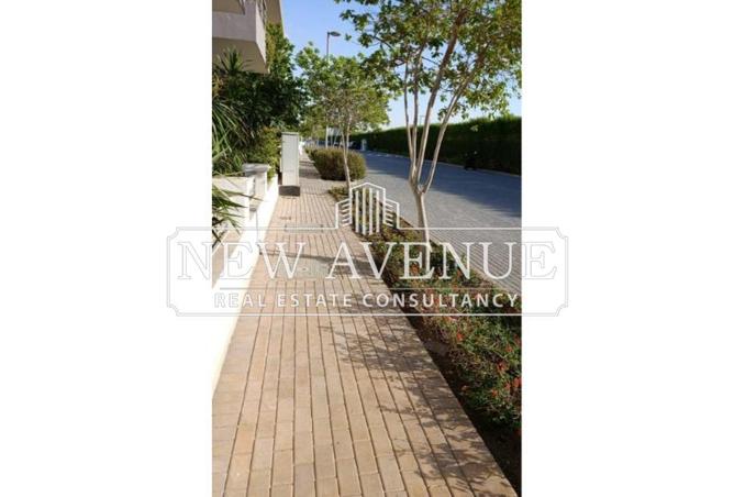 64126282 - Property Image 3