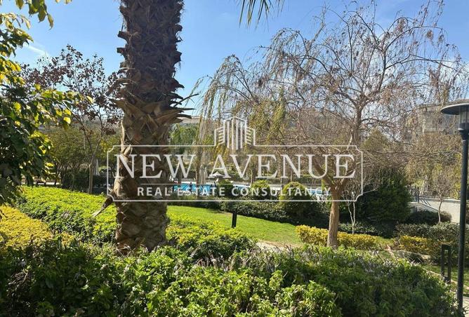 64133514 - Property Image 3