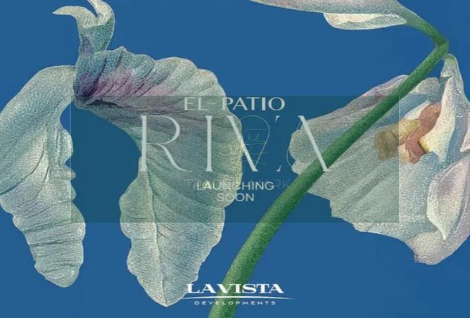 62644616 - Property Image 3