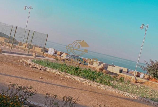85600820 - صورة العقار 3