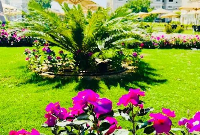 58983300 - صورة العقار 3