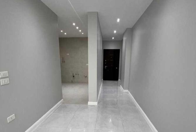 54238353 - Property Image 3