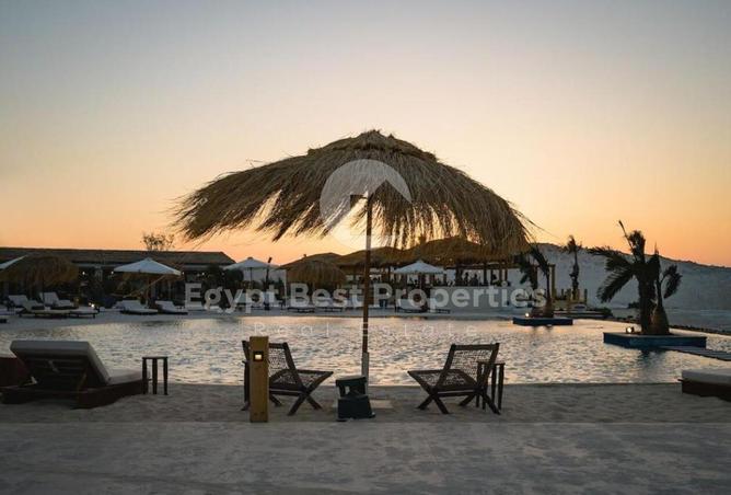 102078793 - صورة العقار 3