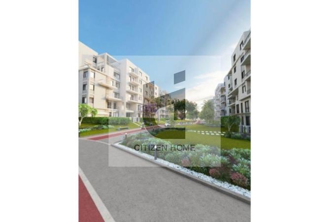 78141793 - Property Image 3