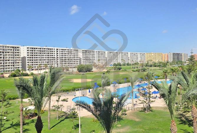 91294126 - الصورة الرئيسية للعقار