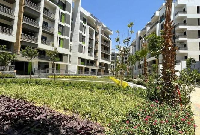 54756810 - Property Image 3