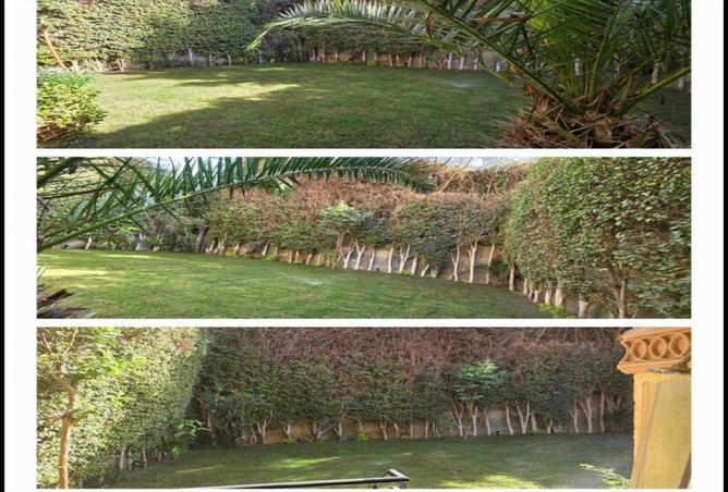 71395575 - صورة العقار 2