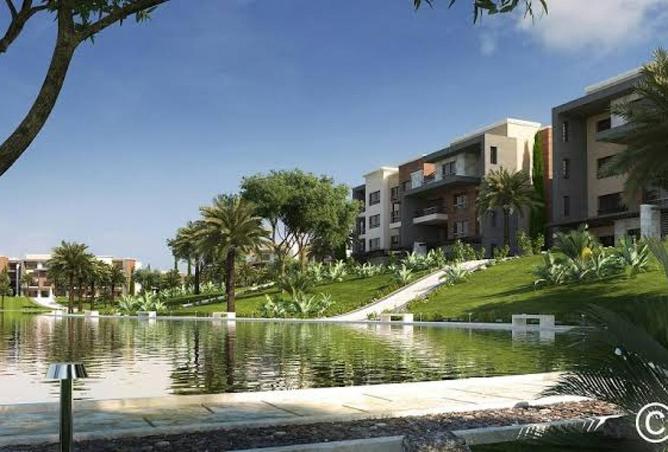 8688666 - Property Image 3