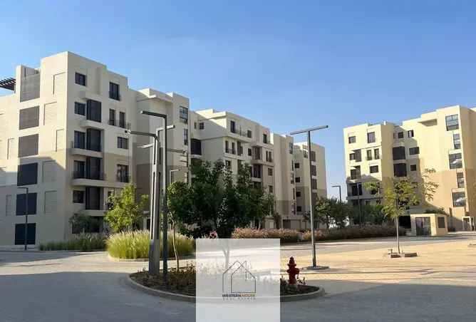 97722345 - Property Image 3