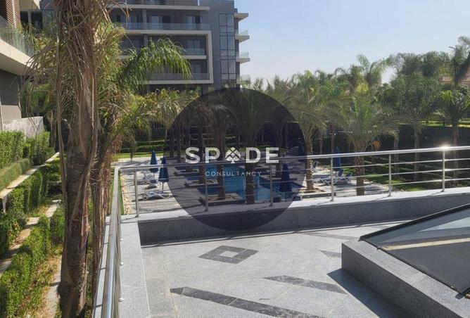 59242728 - Property Image 3