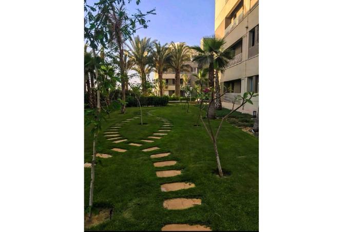 8639487 - Property Image 3