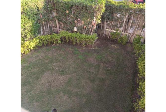 58981631 - Property Image 2