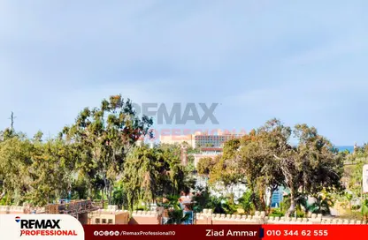 شقة - 3 غرف نوم - 2 حمامات للايجار في رويال بلازا - المنتزة - حي ثان المنتزة - الاسكندرية