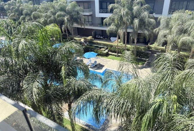 101487398 - Property Image 2