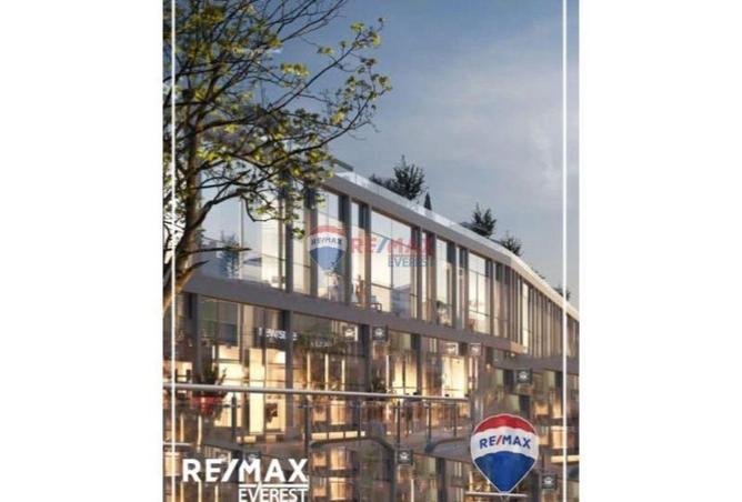 66421003 - Property Image 3