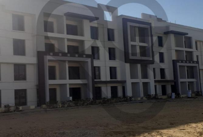 67736526 - Property Image 3