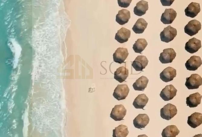 69579973 - Property Image 3