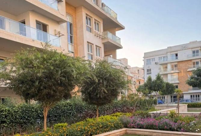 64905496 - Property Image 3