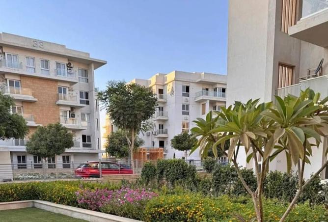 64905496 - Property Image 2