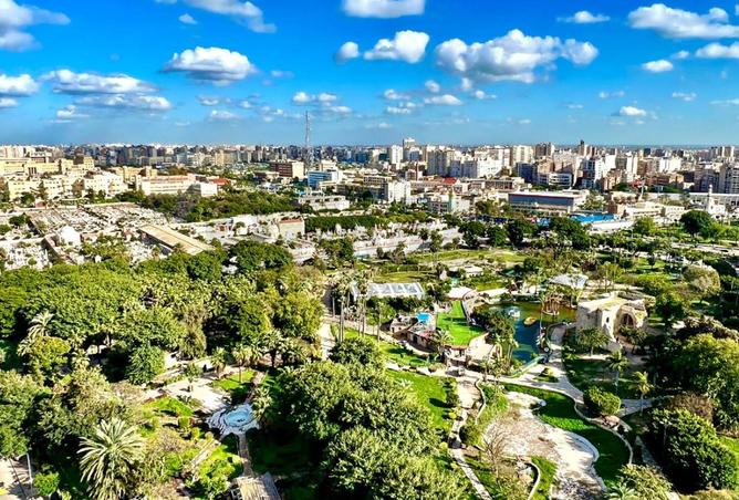 81315658 - الصورة الرئيسية للعقار