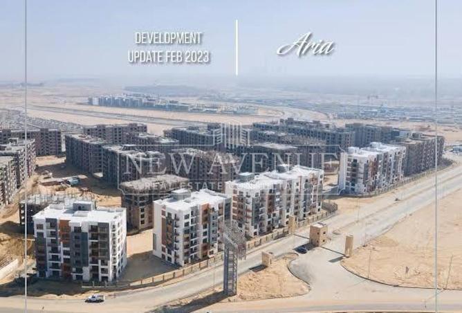 81568100 - صورة العقار 3