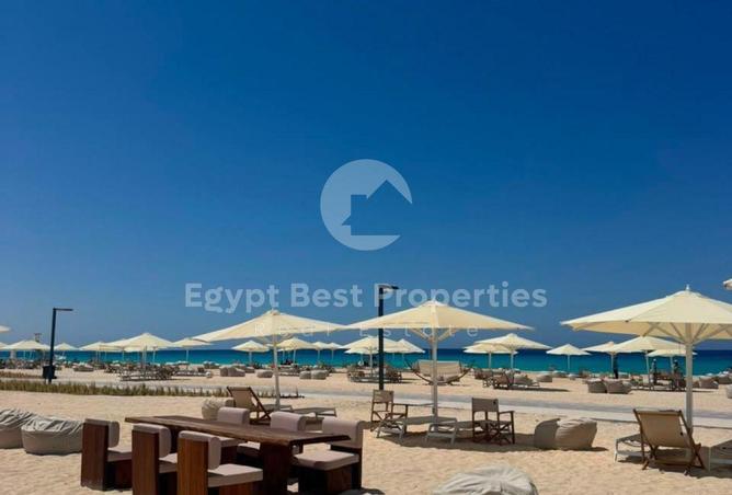 100095368 - صورة العقار 3