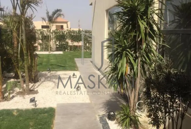 116746029 - Property Image 3
