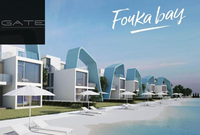 53722250 - Property Image 2