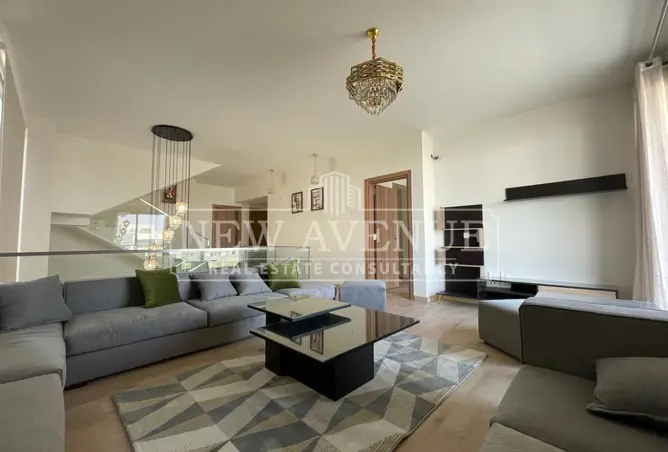 113252213 - Property Image 2
