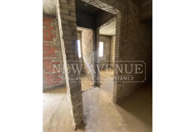 113255210 - Property Image 3