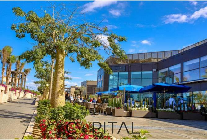 69563184 - Property Image 3