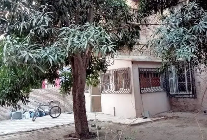 117530711 - صورة العقار 2
