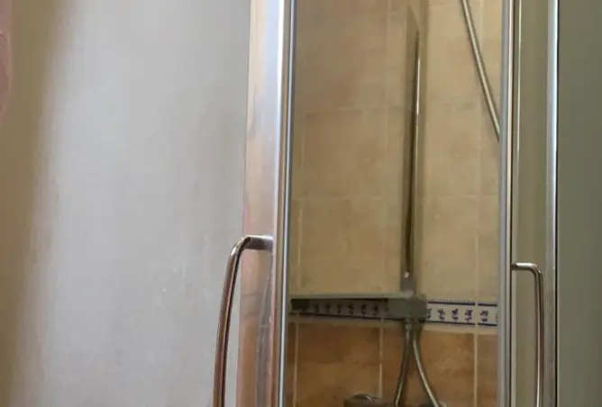 96579998 - صورة العقار 3