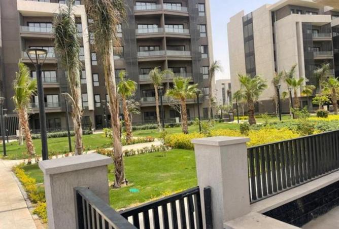 52445916 - Property Image 2