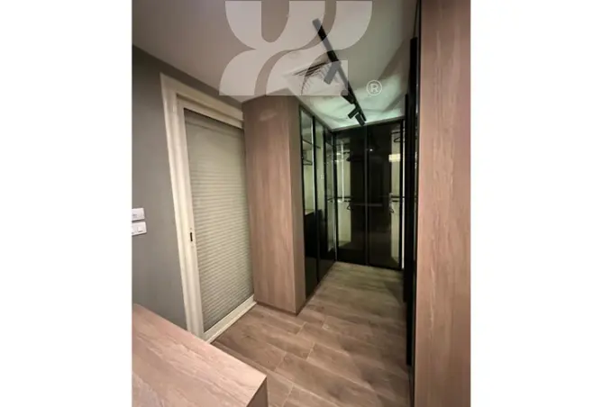 71648208 - Property Image 3